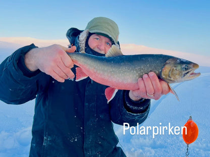 Polarpirken Original